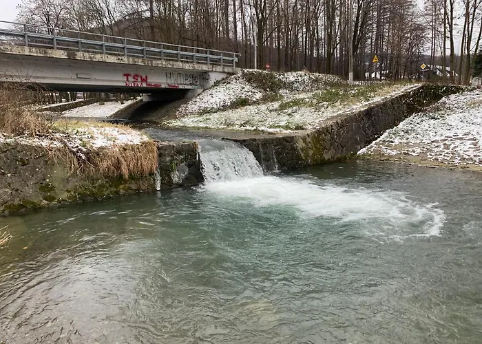 Kurort Kozubnik 12 דירה *