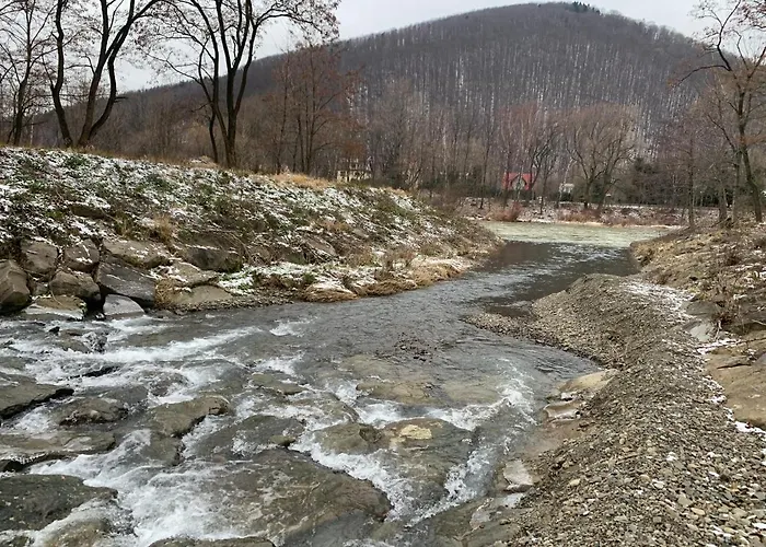 Kurort Kozubnik 12 דירה *